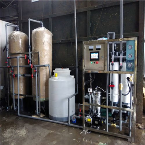 河源市達旺去離子水處理廠 15噸大型工業純水機助力噴涂清洗水高效凈化